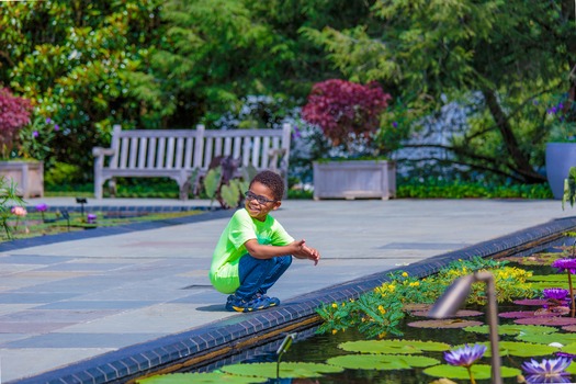 Longwood Gardens