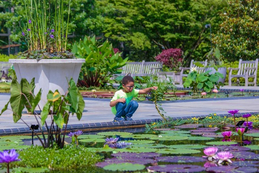 Longwood Gardens