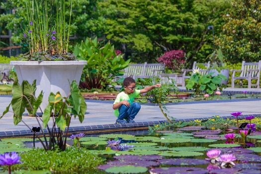 Longwood Gardens