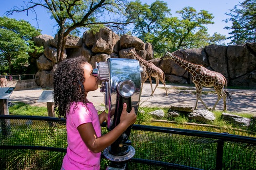 Philadelphia Zoo