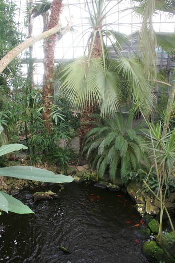 Ott's Exotic Plants