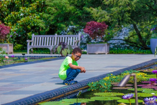 Longwood Gardens