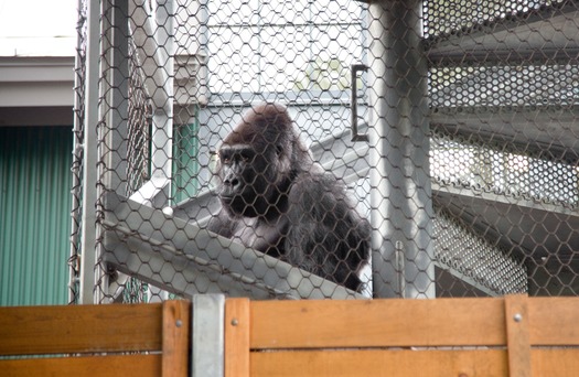 Philadelphia Zoo