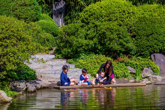 Shofuso Japanese House and Garden