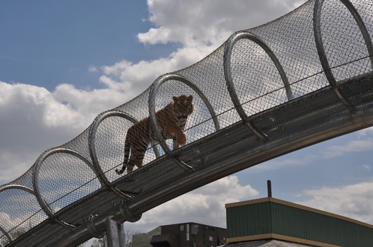 Philadelphia Zoo