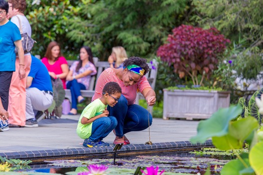 Longwood Gardens