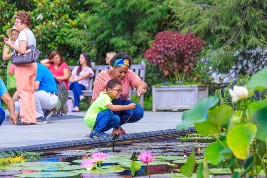 Longwood Gardens