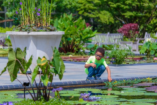 Longwood Gardens
