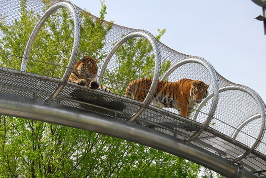 Philadelphia Zoo