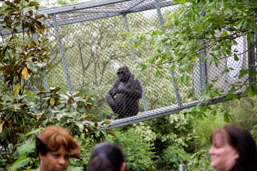 Philadelphia Zoo