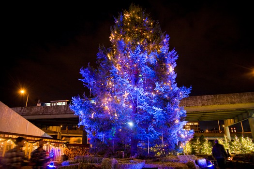 Blue Cross RiverRink Winterfest