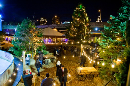 Blue Cross RiverRink Winterfest