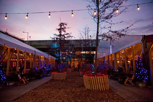 Blue Cross RiverRink Winterfest