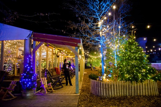 Blue Cross RiverRink Winterfest