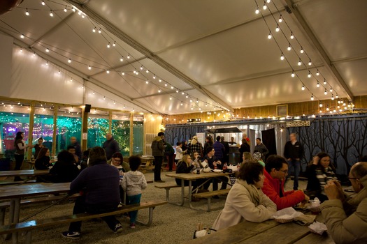 Blue Cross RiverRink Winterfest