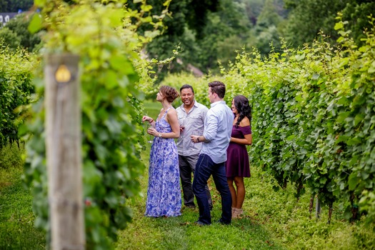 Galer Estate Vineyard & Winery