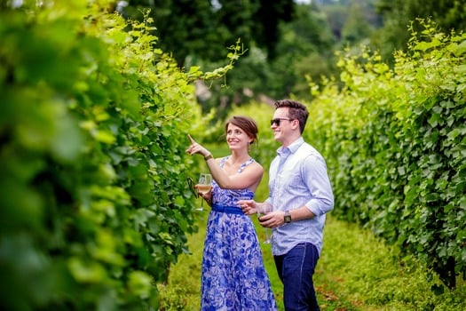 Galer Estate Vineyard & Winery