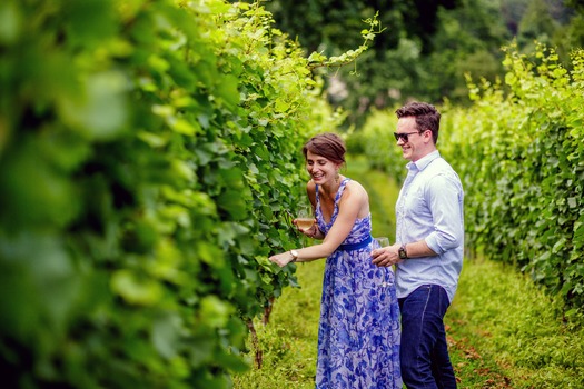 Galer Estate Vineyard & Winery