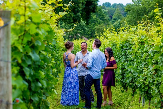Galer Estate Vineyard & Winery