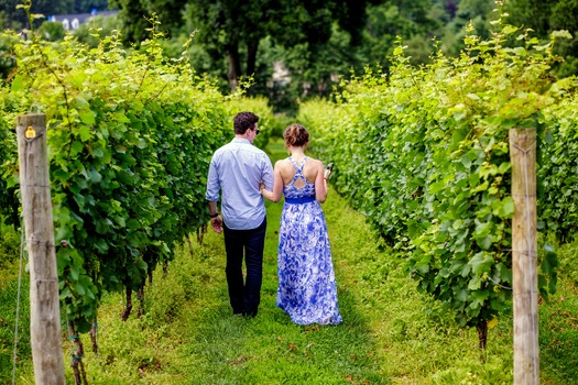 Galer Estate Vineyard & Winery