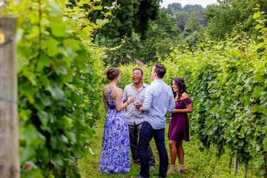 Galer Estate Vineyard & Winery
