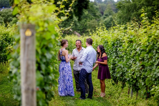 Galer Estate Vineyard & Winery