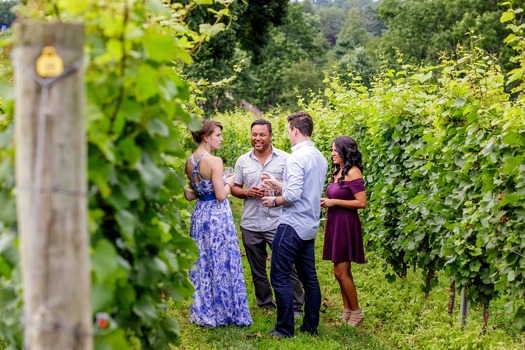 Galer Estate Vineyard & Winery