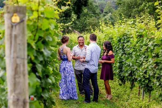 Galer Estate Vineyard & Winery