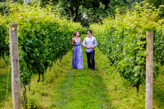 Galer Estate Vineyard & Winery