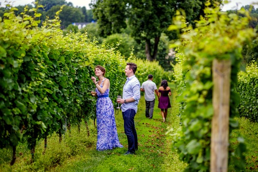 Galer Estate Vineyard & Winery