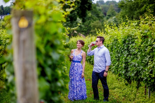 Galer Estate Vineyard & Winery