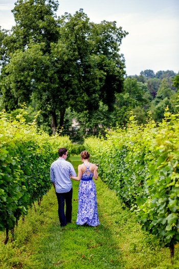 Galer Estate Vineyard & Winery