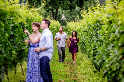 Galer Estate Vineyard & Winery