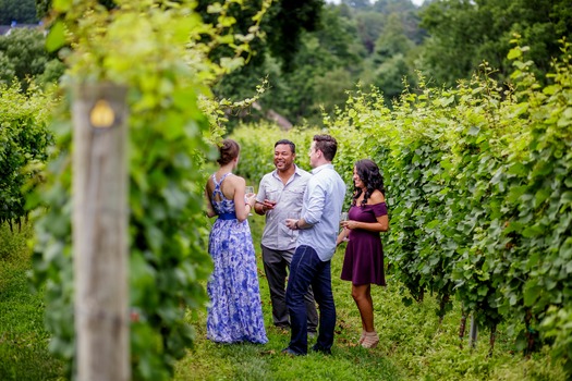 Galer Estate Vineyard & Winery