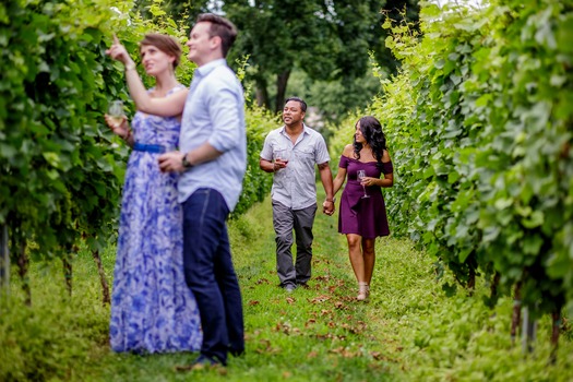 Galer Estate Vineyard & Winery