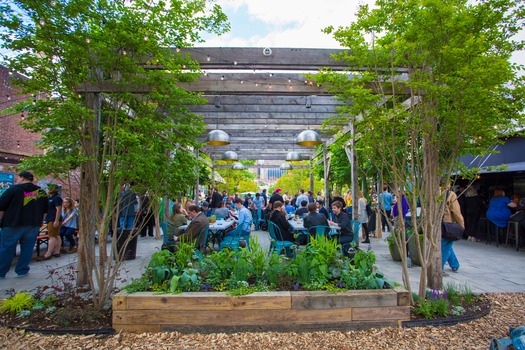 PHS Pop Up Garden