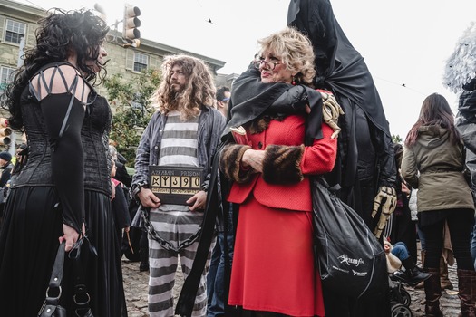 Harry Potter Festival