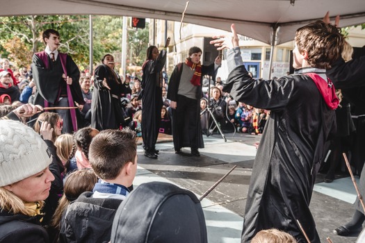 Harry Potter Festival