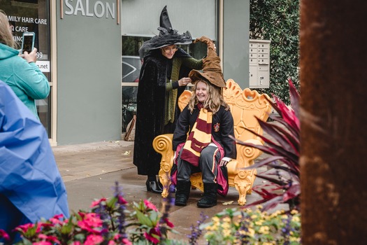 Harry Potter Festival