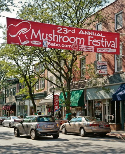 Mushroom Festival