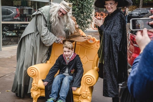 Harry Potter Festival