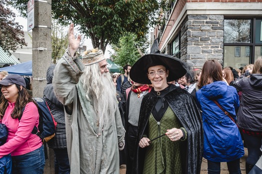 Harry Potter Festival