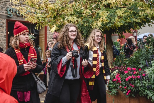 Harry Potter Festival