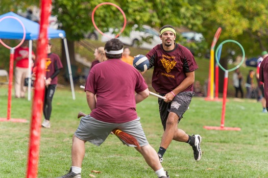 Harry Potter Festival