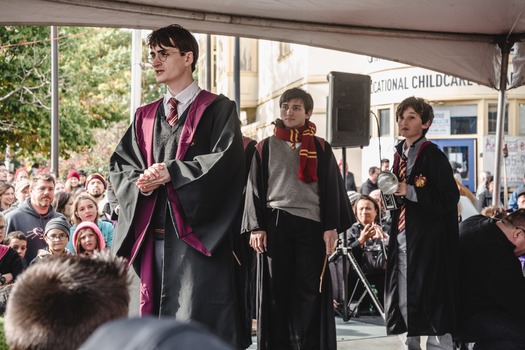 Harry Potter Festival