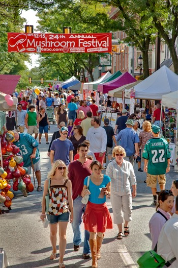 Mushroom Festival