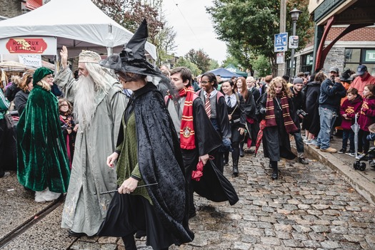 Harry Potter Festival