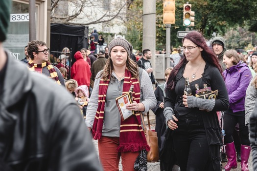 Harry Potter Festival