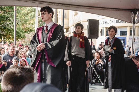 Harry Potter Festival