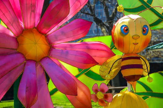 Chinese Lantern Festival